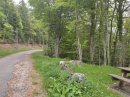 Route forestière du pays de Gex